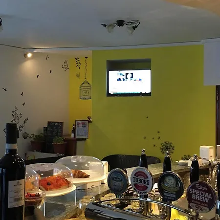 Hotel Ristopub Alba 4*